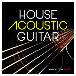 Acoustic Guitar_Product Art 1000x1000